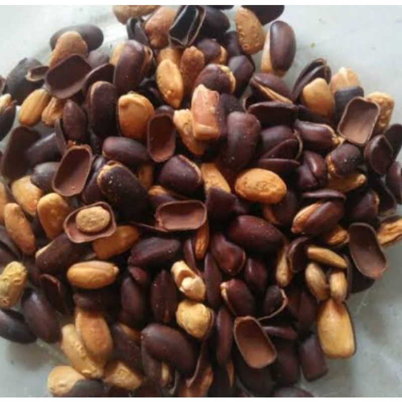 

Herbal godril goreng 046228