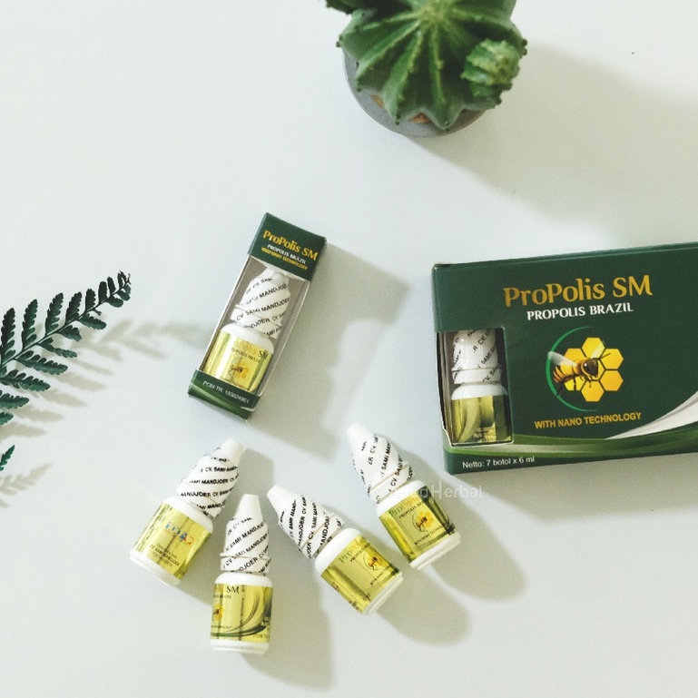 Propolis SM Obat Oles Budug Buduk Gudik Luka Gatal Bernanah Koreng Berair Di Sela Jari Telapak Tangan Kulit Di Kaki Dan Tangan Alami Anak dan Dewasa Herbal Isi 6 Ml Original