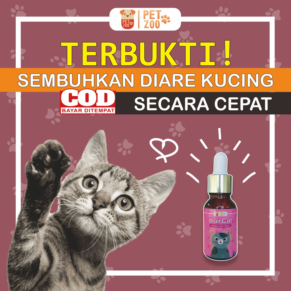 Obat Kucing Mencret Diarcat Diare dan Mencret Kitten Ampuh Metronidazole Tylosin Primacat Kucing