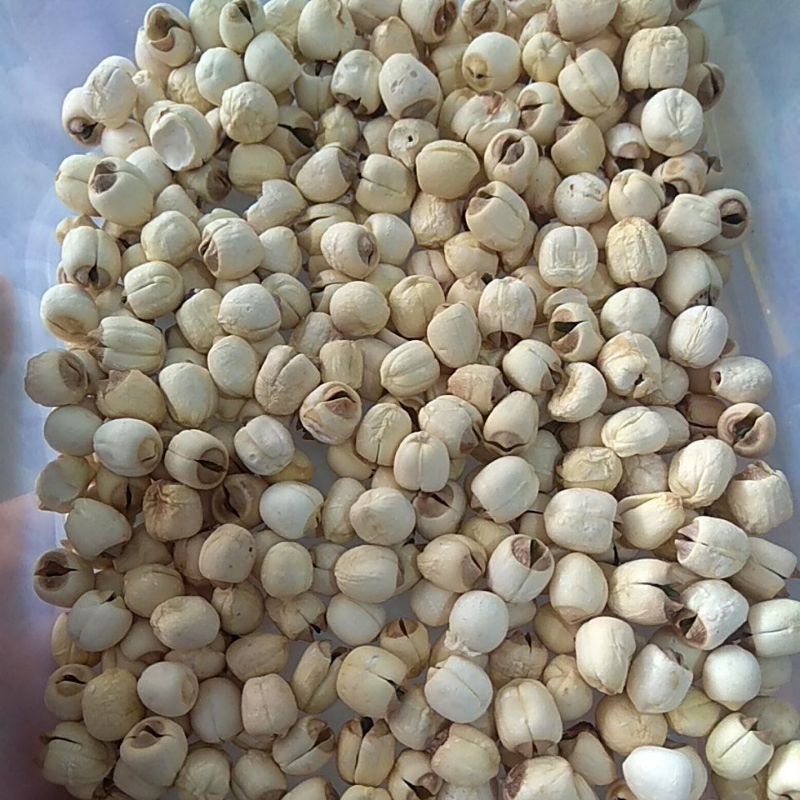 

Lien Ci /biji teratai 50g