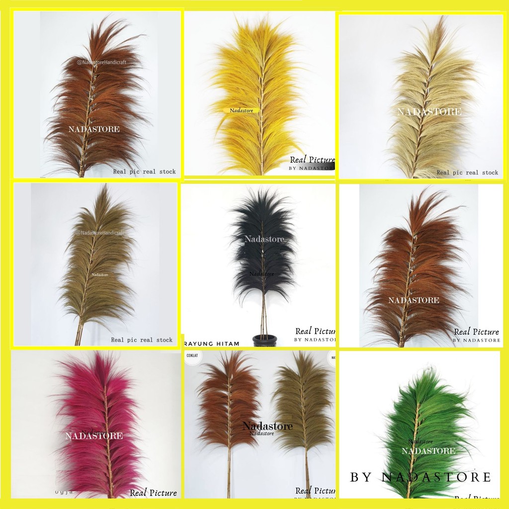 Rayung Stick / Bunga Kering / Dried flower / Bunga Hias / Natural Leaf Rayung Stick Pelangi Satuan