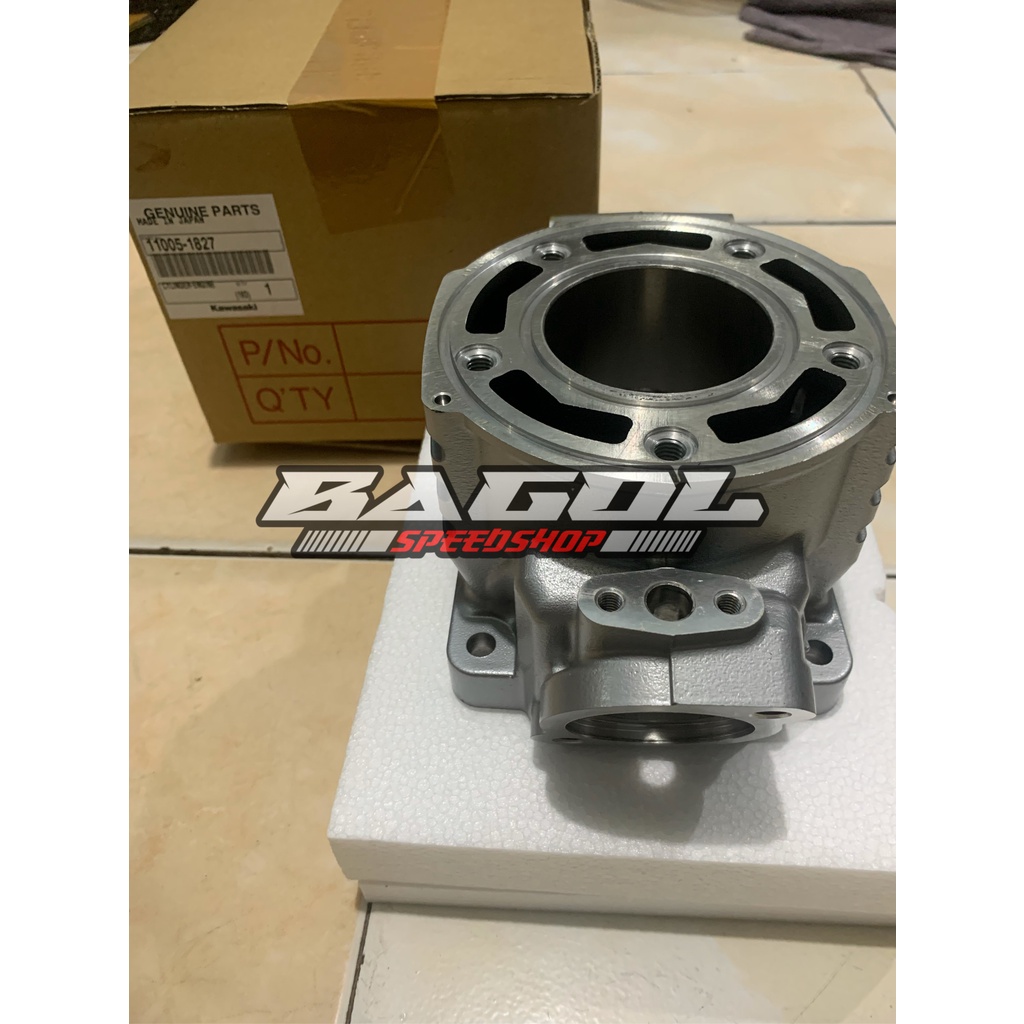 Termurah Blok Seher Cylinder 1827 Ninja R Kis Original Kawasaki
