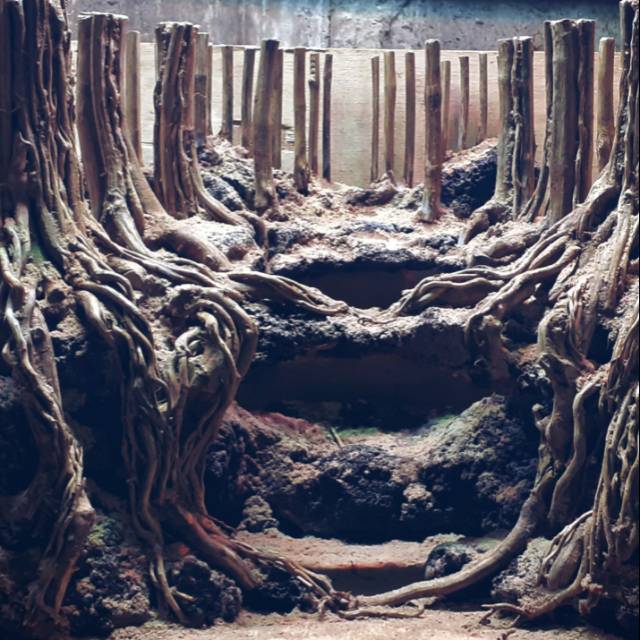 

Harscape mix sengani