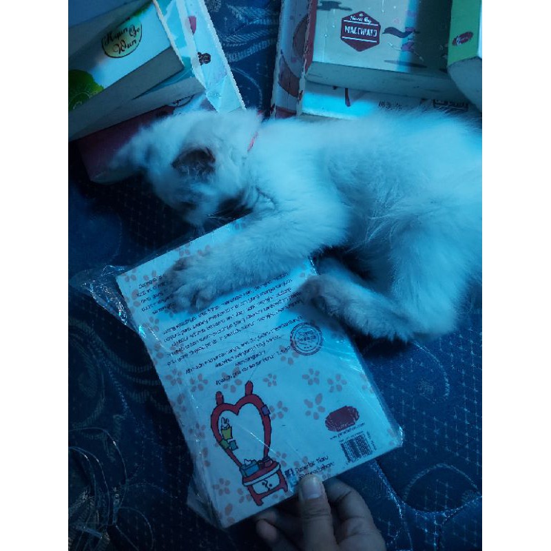 NOVEL BEKAS THE LAST 2 %