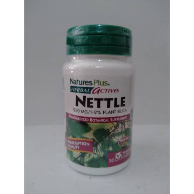 Natures Plus Nettle 30 capsules