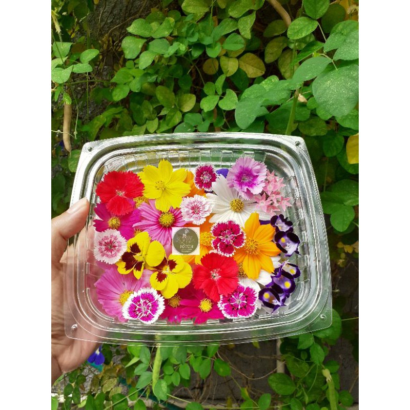 

EDIBLE FLOWERS TERMURAHHHHHH..