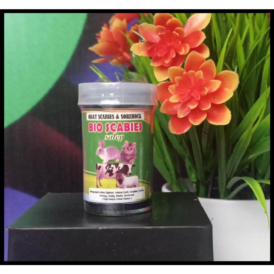 PROMO Obat Sorehock Kelinci, Obat GUDIG UNTUK KELINCI, Obat Koreng HEWAN, Obat Scabies Kucing, Anjin