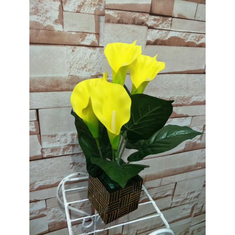 Tulip artificial