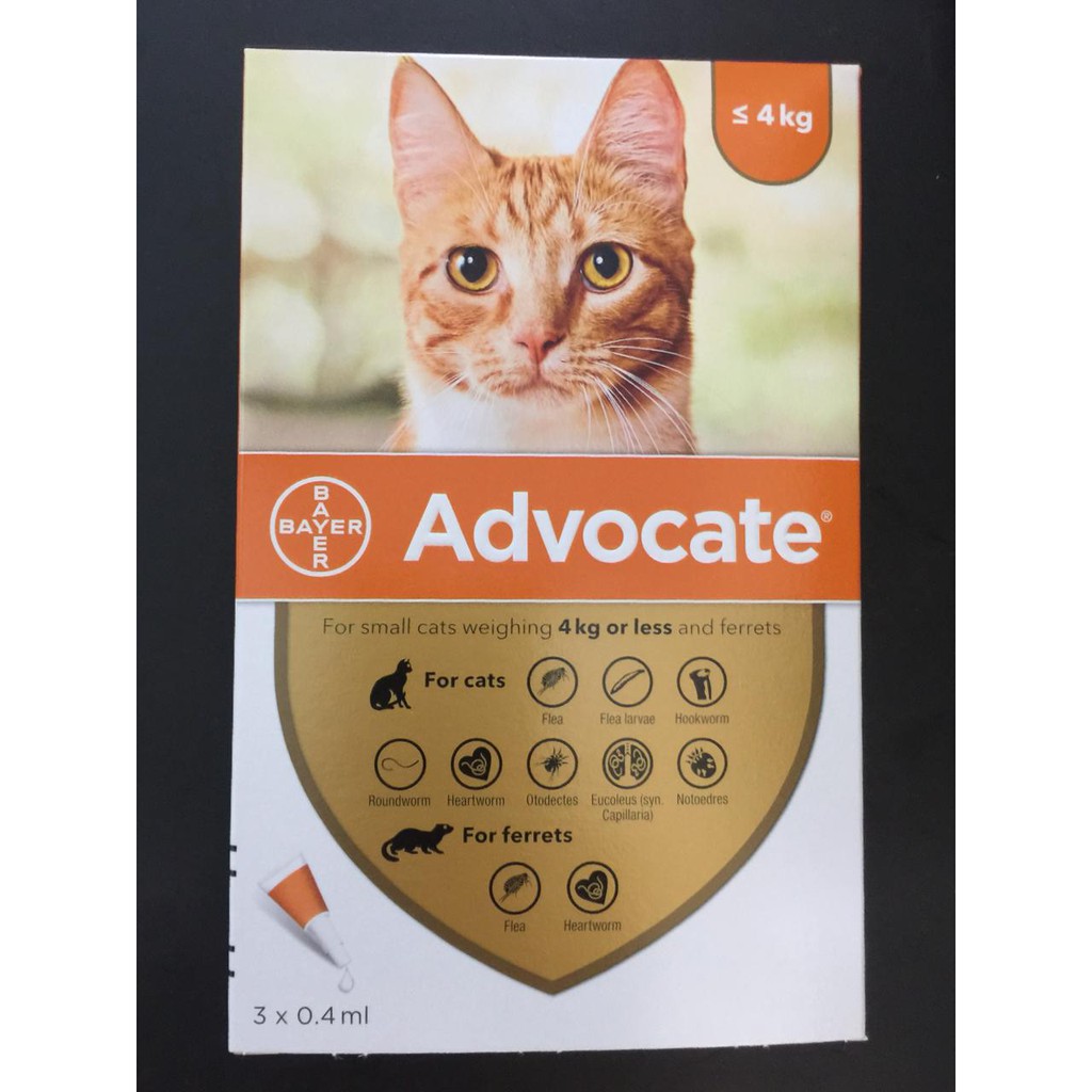 Advocate Cat &amp; Ferrets Up To 4kg Obat Kutu Tetes Kucing Per PCS/Pipet