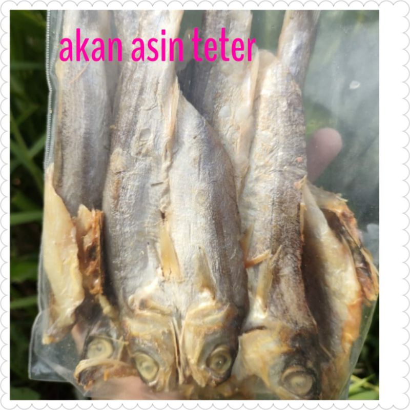 

IKAN ASIN TETER FRESH /IKAN TERI MEDAN SIBOLGA