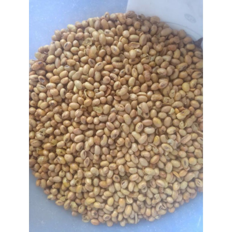 

Kacang Kedelai matang (500G)