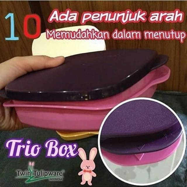 

Trio box TwinTulipware
