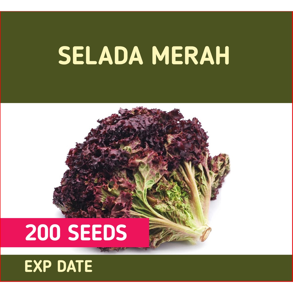 Repack Selada Merah Seed