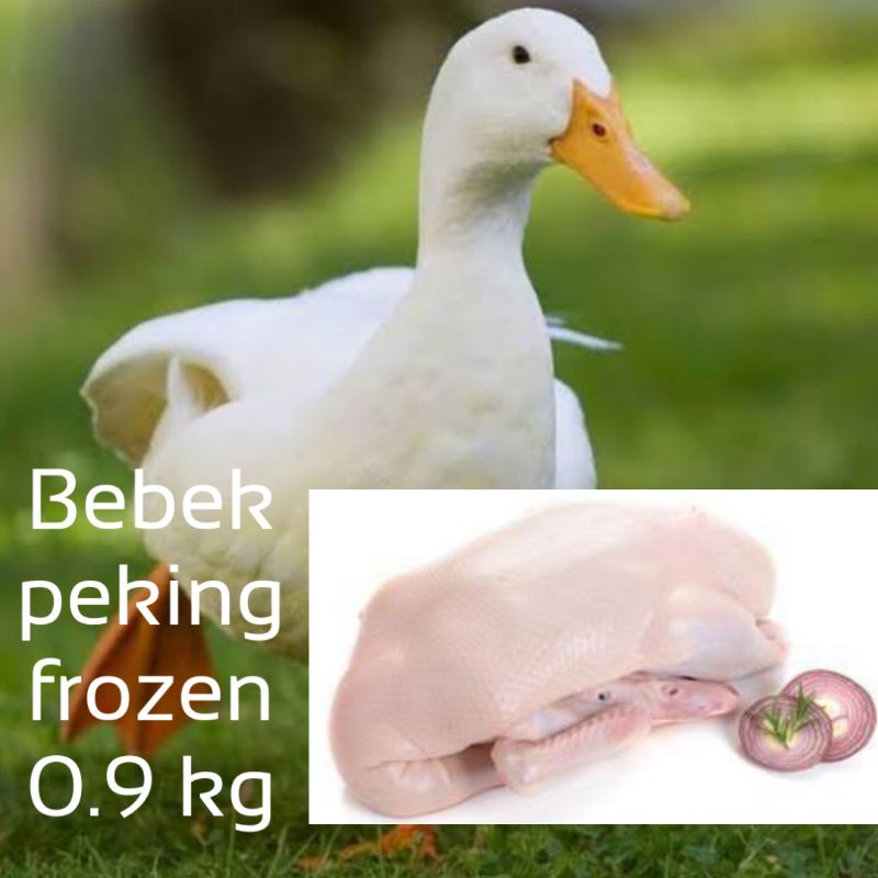 

Bebek peking frozen 0.9 kg