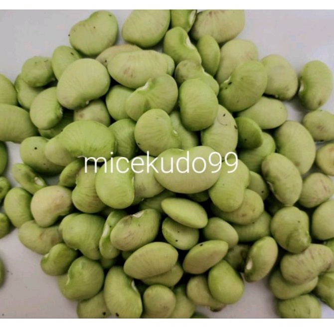 KACANG KORO SEGAR / SAYUR KORO KUPAS HIJAU FRESH