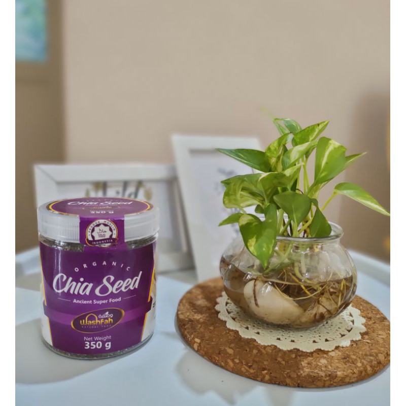 

chia seed