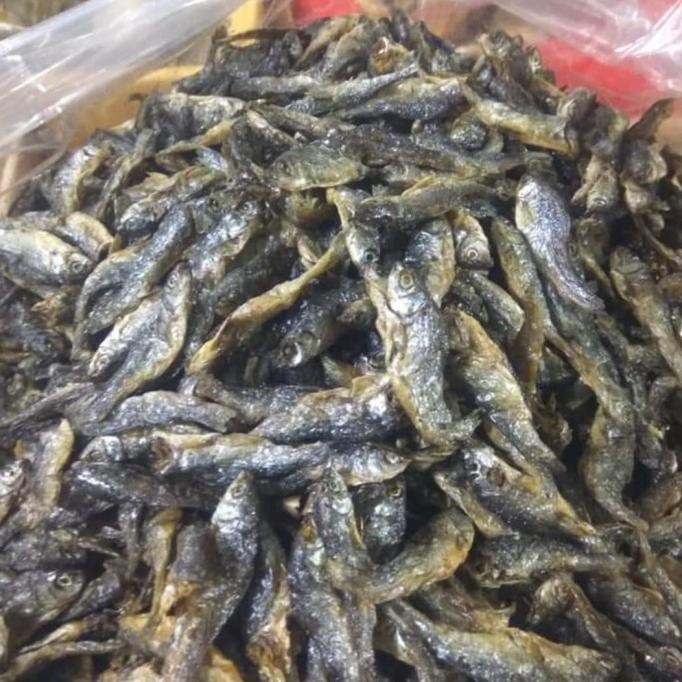 

(BISA COD) Ikan Danau Bilis/Bilih Tawar Padang EKSLUSIF Kode 230