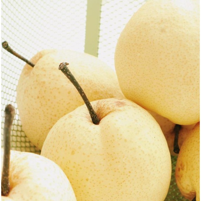 

BUAH PEAR SWEET MANIS SEGAR 1KG | BUAH PIR MANIS | BUAH PEAR MADU 1KG