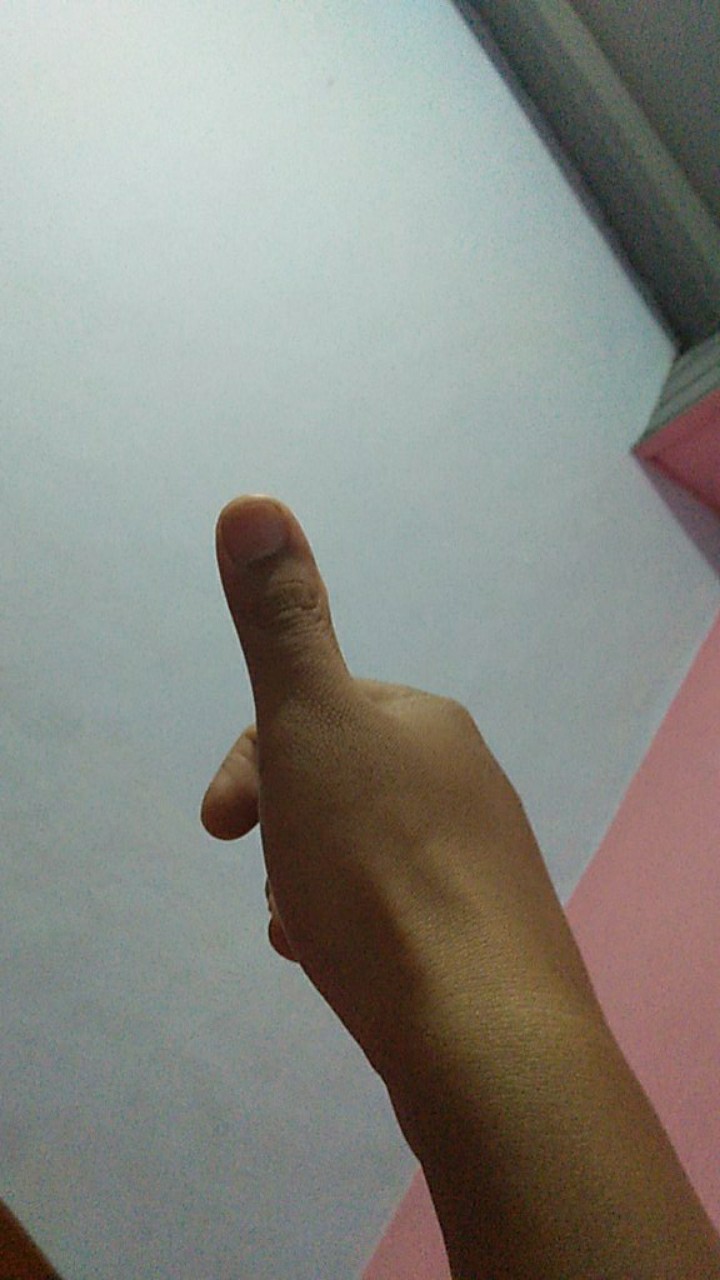 Tempat Telur Isi 6 Golden Sunkist