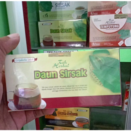 TEH DAUN SISAK ASLI ATASI DARAH TINGGI STROKE SUDAH BPOM