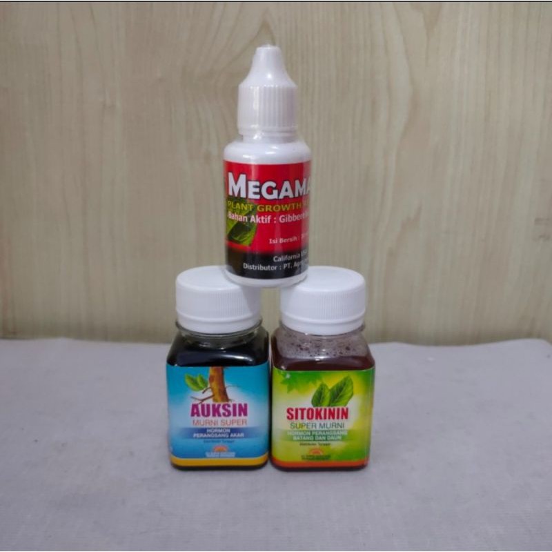 paket lengkap hormon tanaman auksin, sitokinin dan giberelin