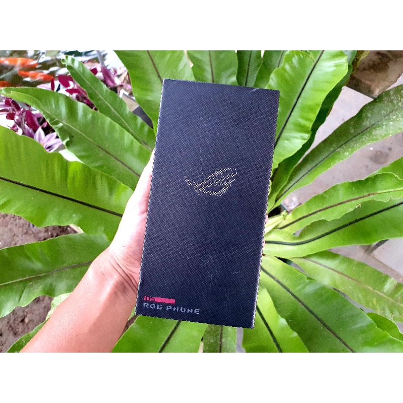 Asus ROG Phone 5 8/128gb Black - Bekas Review