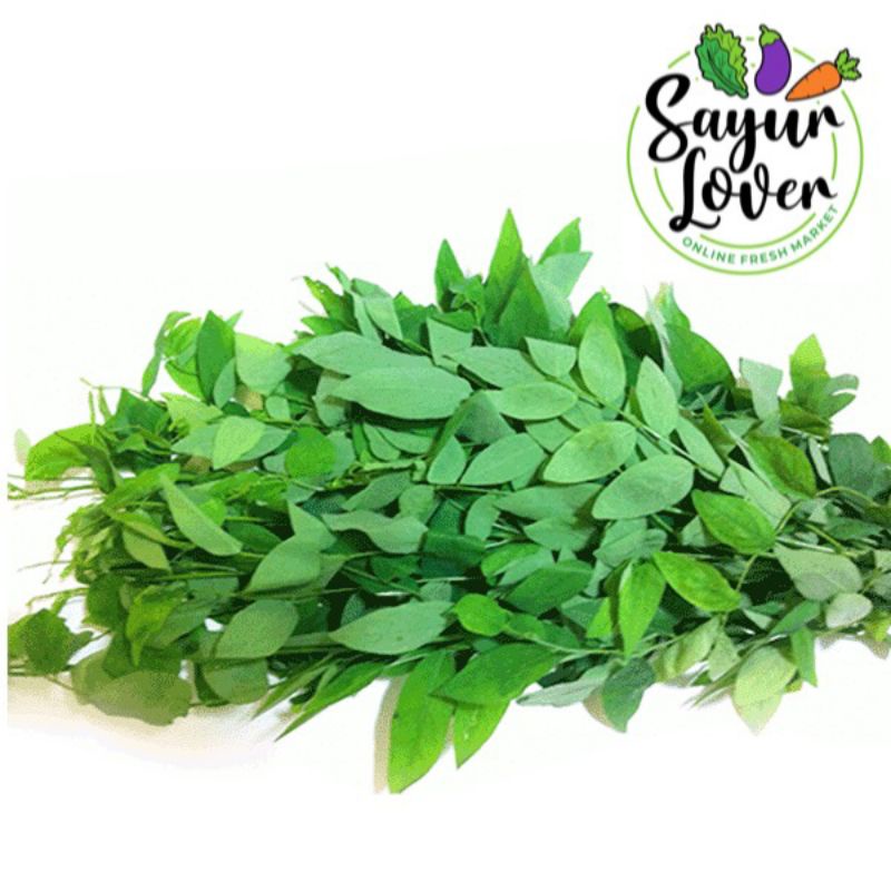 

Daun Katuk [1Ikat] sayurlover