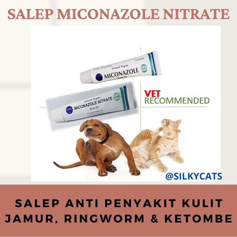 Salep miconazole ASLI nitrate anti penyakit kulit jamur, ringworm gatal gatal pada kulit kucing dan anjing