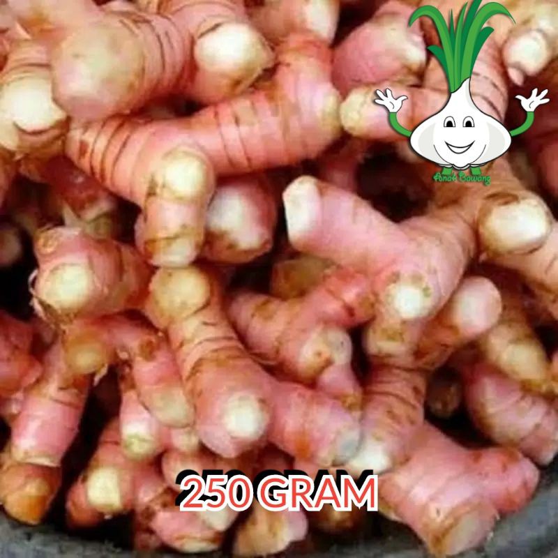 

250 gram lengkuas segar