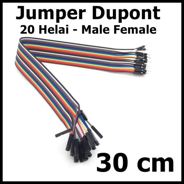 Kabel Jumper Male Female isi 20 Helai Panjang 30 cm