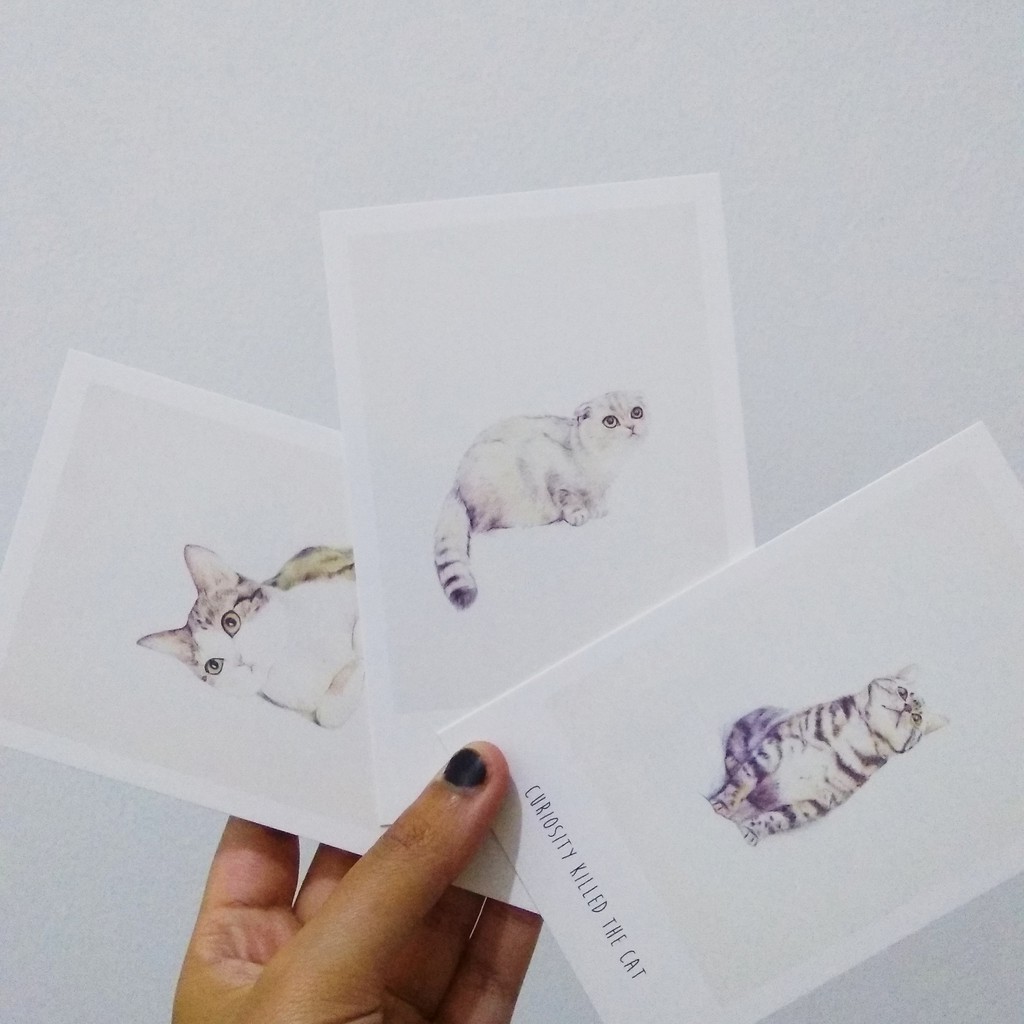 Kartu Pos Postcard Cat Kucing Random