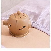 tempat moksa/kotak moksa/ai jiu bao/moksibuxion/moxibusi