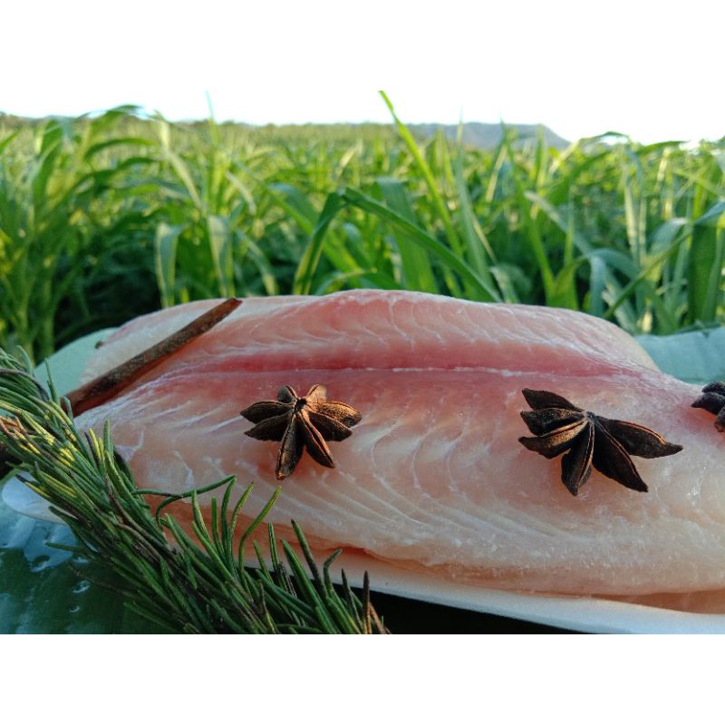 ikan dori fillet termurah dan terlaris 1 kg harga promo diskon grosir