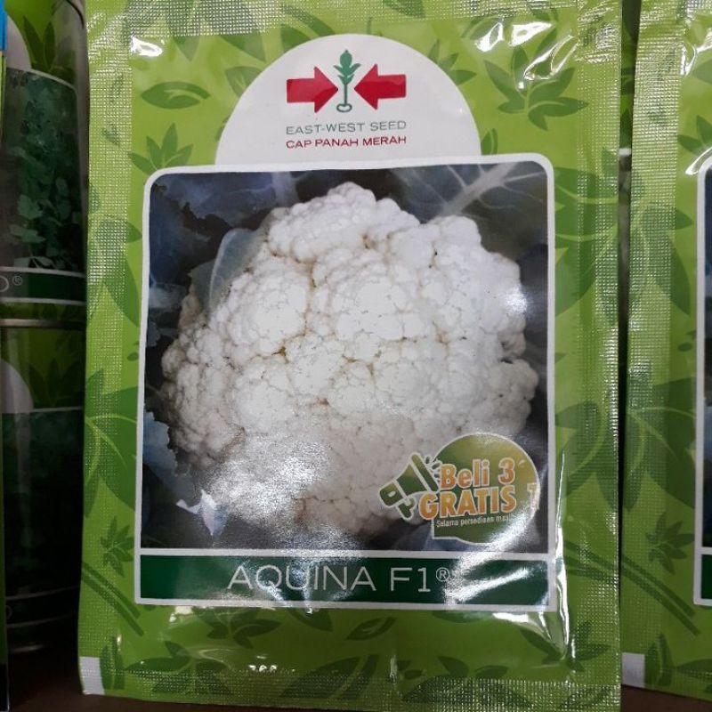 Benih Kembang Kol Aquina Cap Panah Merah