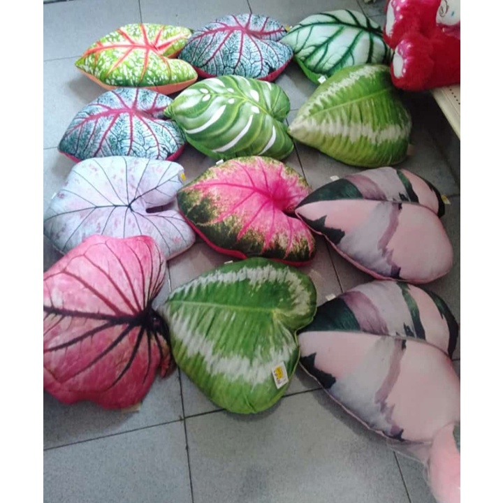 DIJAMIN BAGUS DAN MURAH - BANTAL DAUN ANEKA KELADI  MONSTERA JANDA BOLONG VIRAL