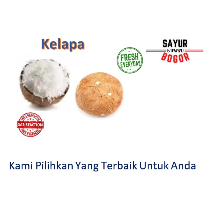 

Kelapa Parut - Kelapa Utuh - 1 Butir