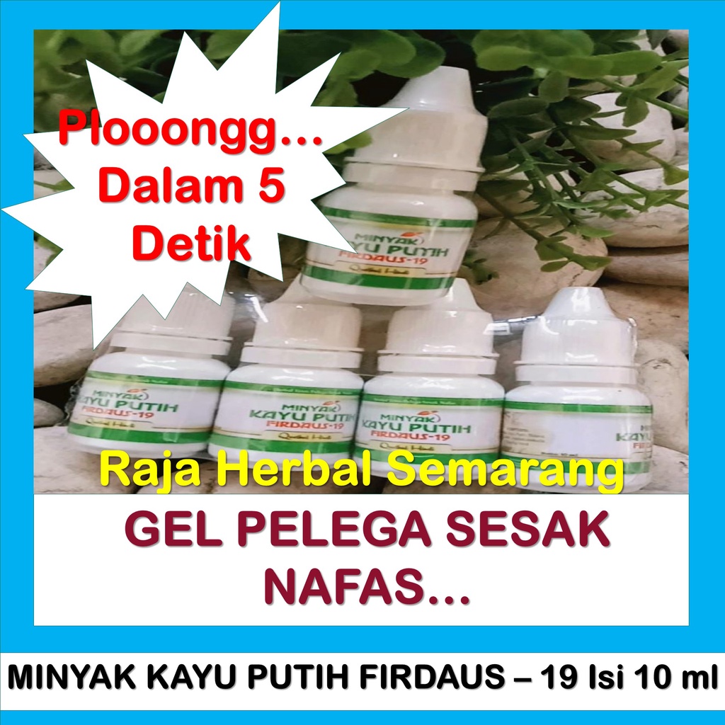 Minyak Kayu Putih Asli Plus Herbal Firdaus – 19 Isi 10 ml, Pelega Pernafasan Sesak Nafas dan Hidung