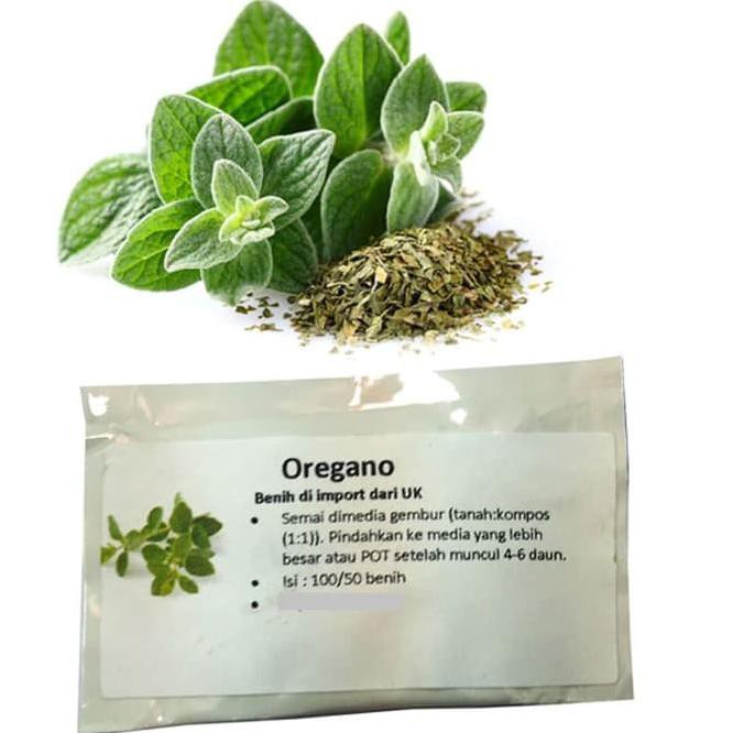 (Bestseller) Oregano- 50Benih <>