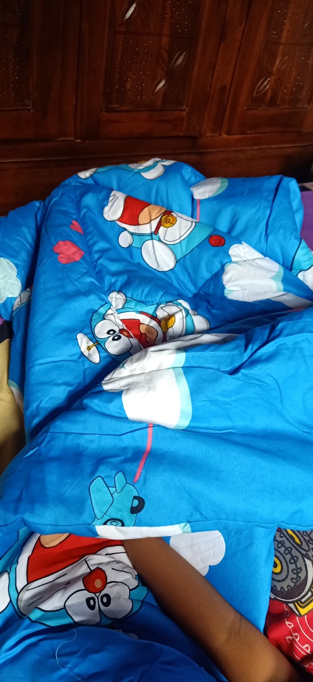 Ss Balmut Lady Rose 160x220 Cm Bantal Selimut Anak Dewasa Termurah Grosir Mix Part B