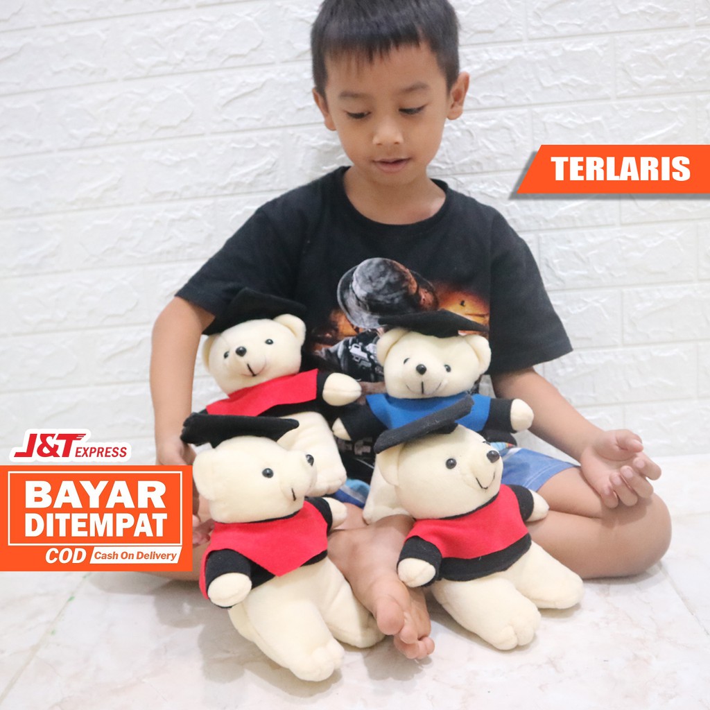 BONEKA BEAR BERUANG TOGA WISUDA 22 cm