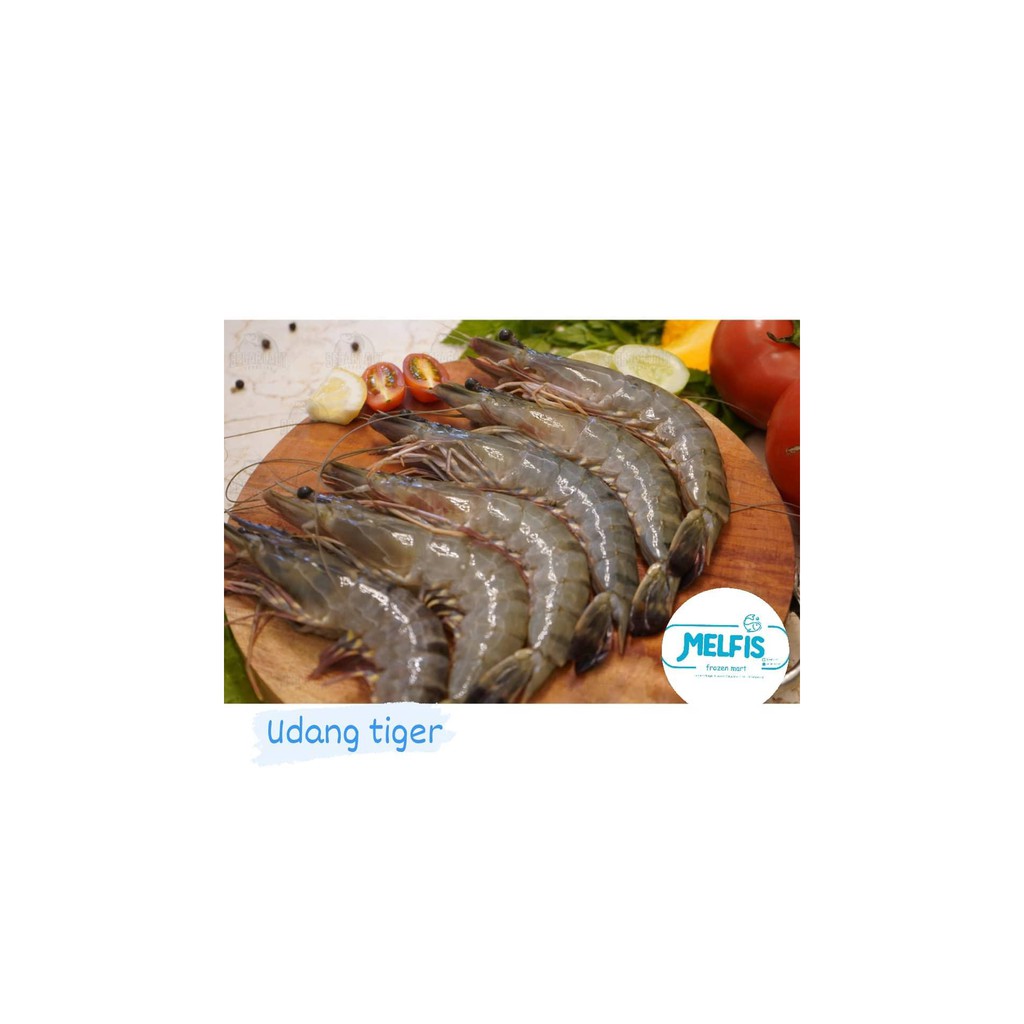 

UDANG TIGER | FRESH FROZEN & SEGAR