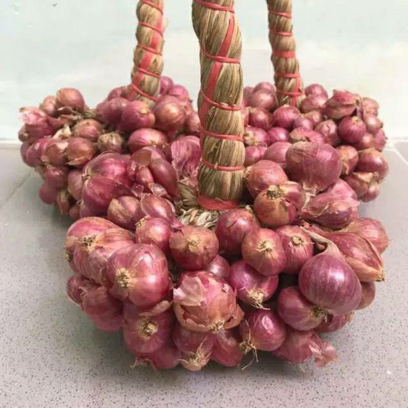 

Bawang merah besar asli probolinggo 1000gram/1kg