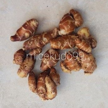 

REMPAH KENCUR 250 GRAM SEGAR / BUMBU CEKUH FRESH
