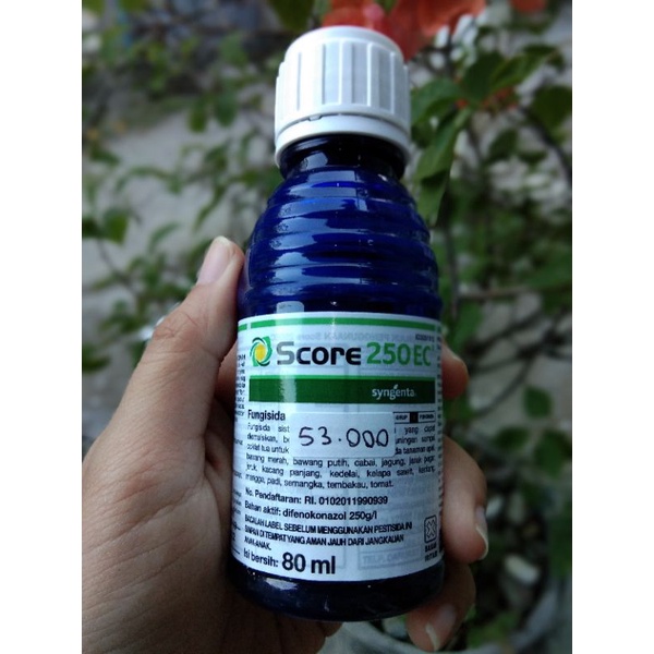 SCORE 80ml