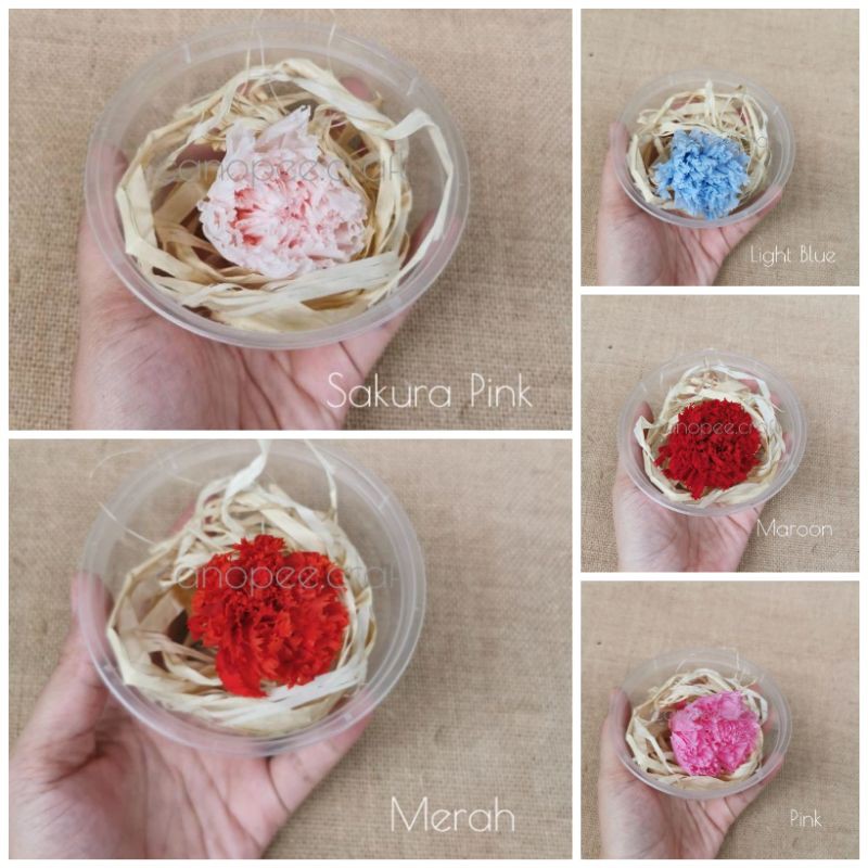 

Bunga Abadi Everlasting Carnation DIY Craft