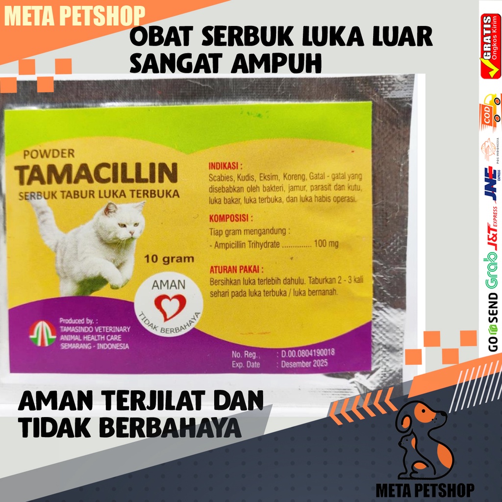 OBAT KUCING LUKA Infeksi Bernanah