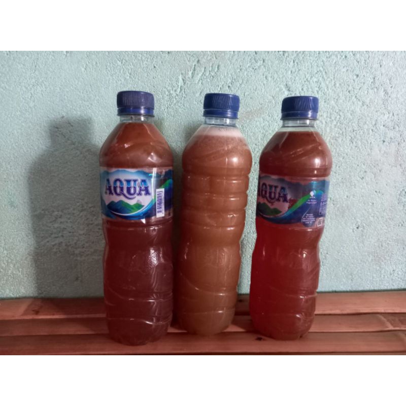 

Madu Asli