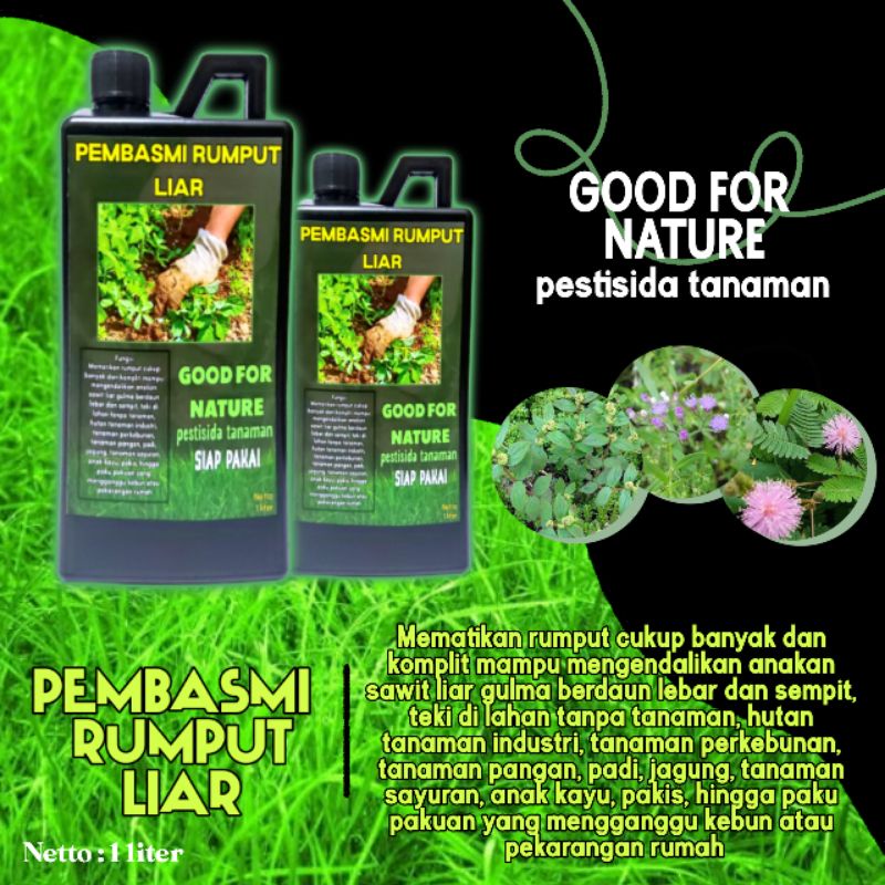 Pembasmi Rumput Liar Gulma Ilalang 1Liter Sampai ke akarnya Semprotan Basmi Rumput Liar Gulma