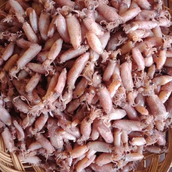 

STAR BABY CUMI KERING ASIN SOTONG JARUM ASIN FRESH 250 GRAM SAYUR SAYURAN MAKANAN POKOK SERANG