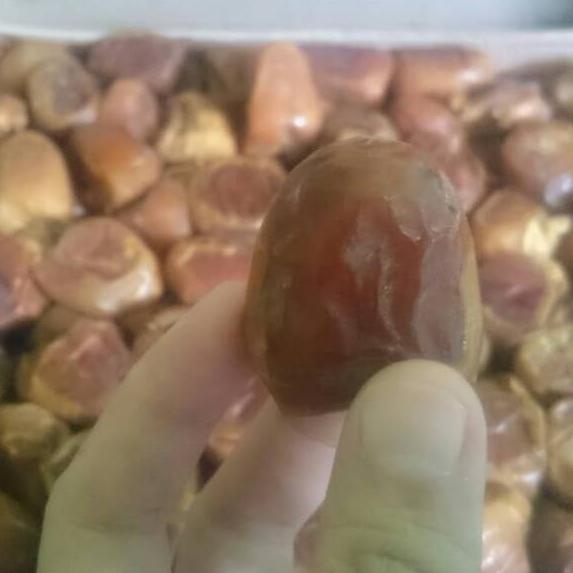 

✨Grosir✨ Buah Kurma | Kurma sukari kurma raja 1kg !!